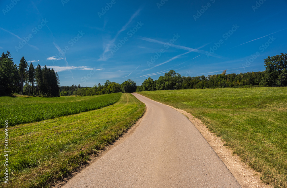 Green field with agriculture meadow and blue sky. Panoramic view to grass on the hill on sunny spring day
