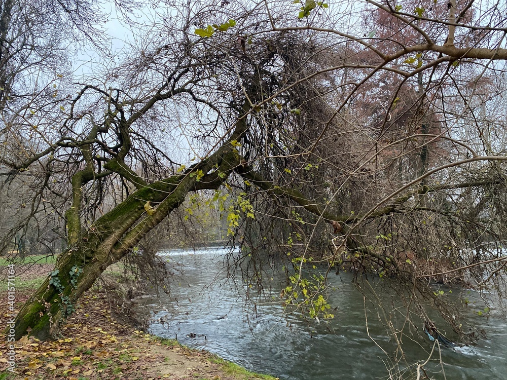 bruma, rio, agua, naturaleza, arboles, floresta, desolación,  gris, tristeza, paisaje, lago, verde, otoño, parque, estación, hierba, belleza, cielo, calma, pasto, caminos, miedo, atardecer