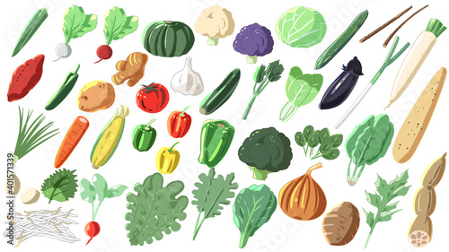 野菜セット(線無し)