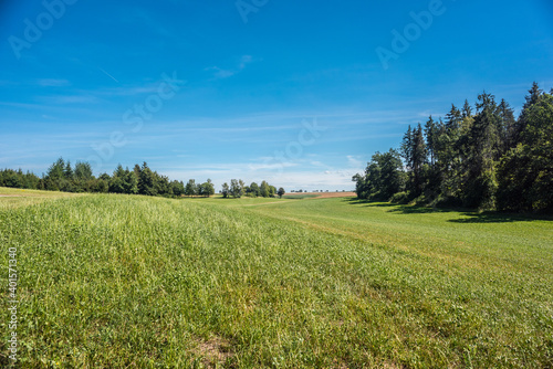 Fototapeta Naklejka Na Ścianę i Meble -  Green field with agriculture meadow and blue sky. Panoramic view to grass on the hill on sunny spring day
