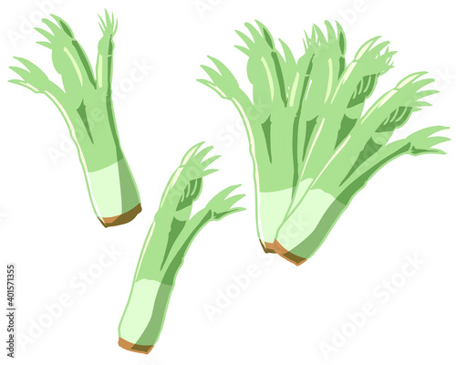 タラの芽(線無し)