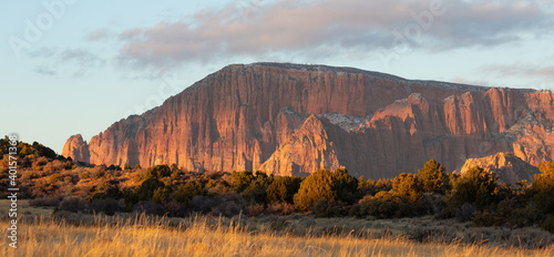 Kolob fingers mountains are lit by warm evening light late on a winter day seen from a remote dirt road with grassy fields and juniper trees in the foreground.