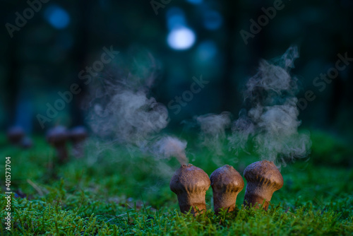  Dust fungi