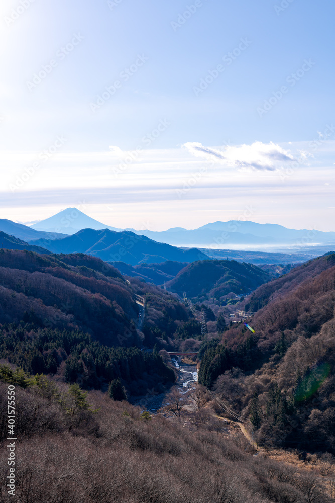 遠地から霞んで見える富士山