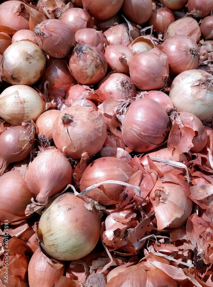 Boxes with fresh onions in the supermarket Boxes with fresh onions in the supermarket