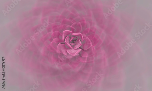 magical abstract background made of succulent