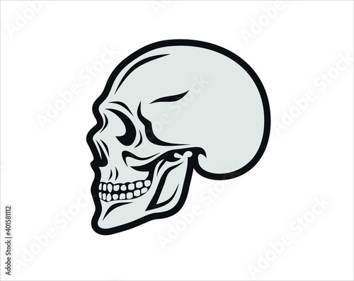illustration of a skull