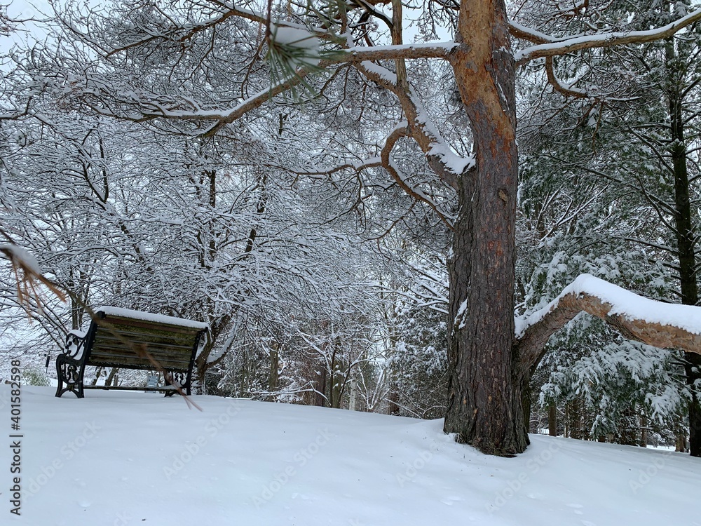 Incredible Winter Beauty Incredible Winter Beauty