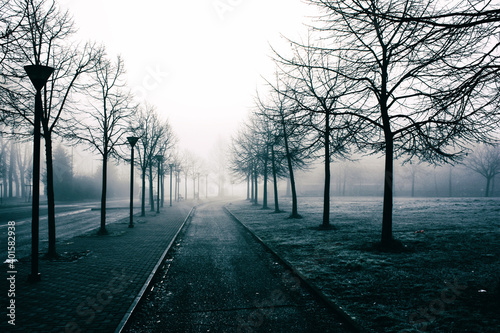 Nebbia in città © gianniarmano