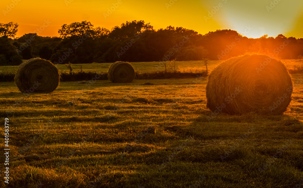 Hay Bales in The Field at Sunset, Washington County, Texas, USA