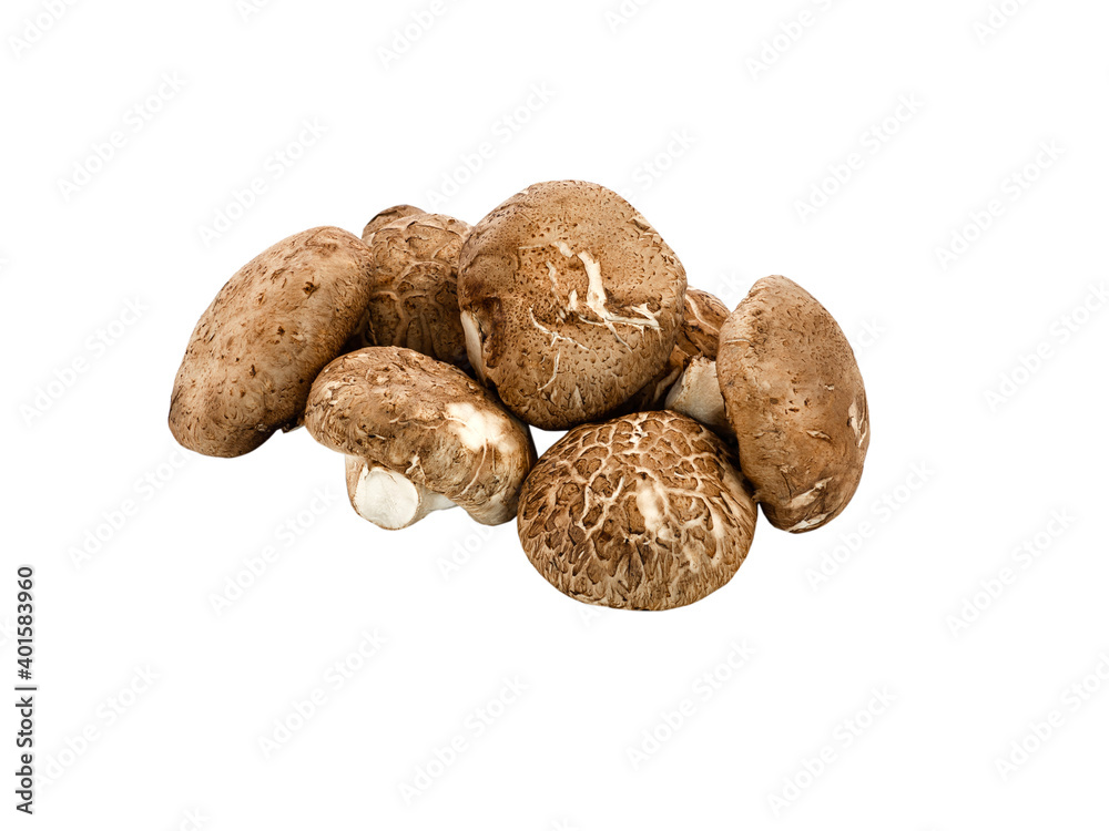 Shiitake mushroom isolated on white background. raw food for health concept. Shiitake mushroom isolated on white background. raw food for health concept.