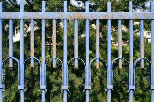 Section of a metal fence, painted blue, from the side of the street in summer against a background of green vegetation.