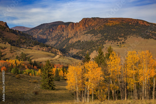 Fall Color on the Bachelor Loop in the Rio Grande National Forest