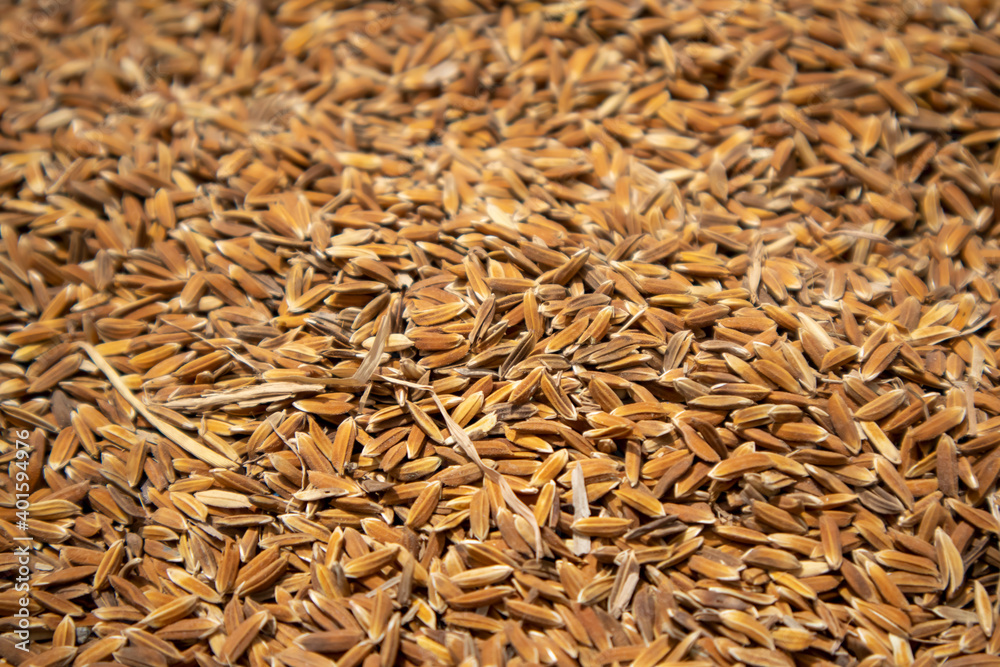 a photo of a pile of raw rice in dark brown color