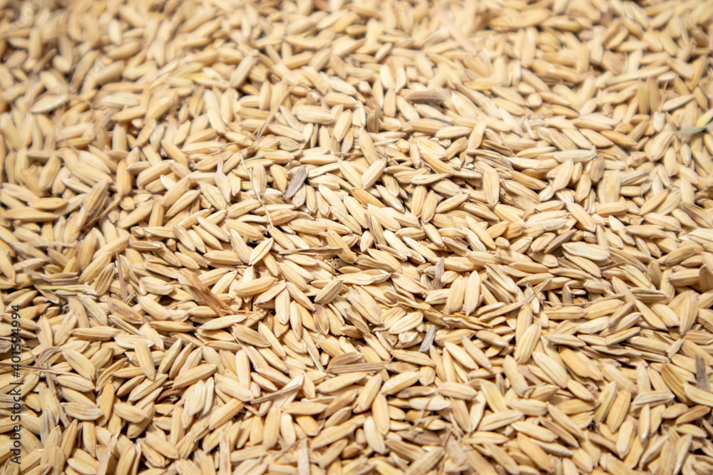 a photo of a pile of raw rice a photo of a pile of raw rice
