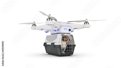 the container for transportation of animals with a small dog on a drone. 3d rendering