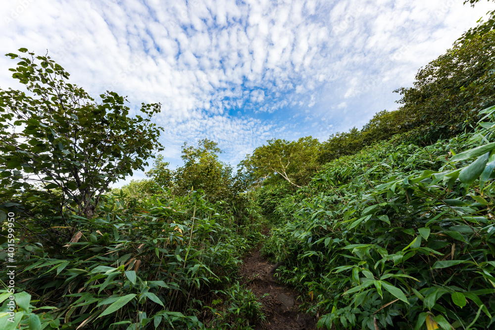 羊蹄山　山頂