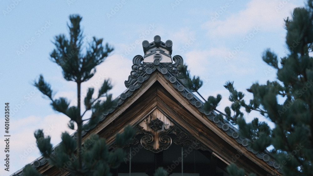 buddhist temple among the tree tops