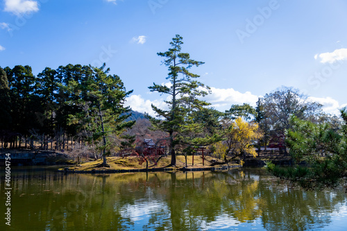Peaceful Autumn View in Nara
