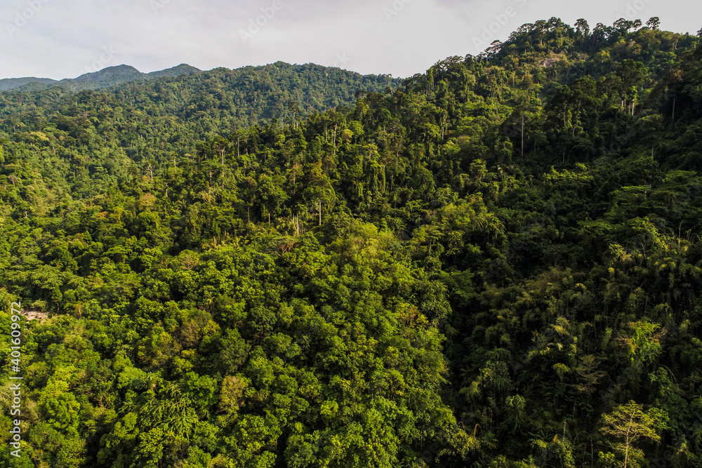 Fototapeta premium Aerial view tropical green mountain forest