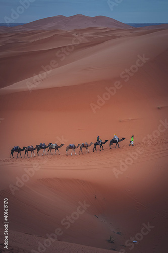 Hiking and camel rifing in the highest dunes of Erg Chebbi, Sahara desert, Morocco