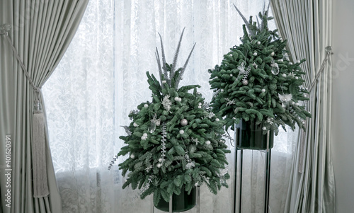 new year's interior design. Decorative Christmas trees on the background of the window with beautiful curtains.
