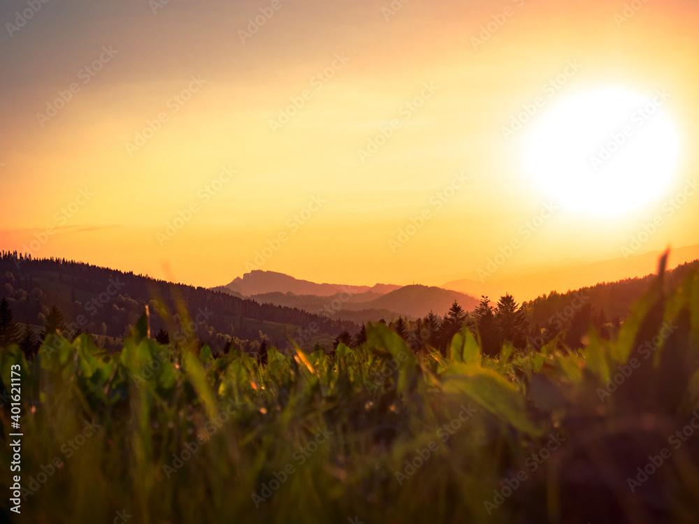 View of Pieniny from Rozdziela Pass