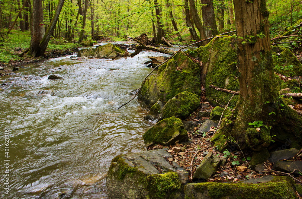 Obraz premium Landscape in nature park at Skryje,Central Bohemia,Czech republic,Europe 