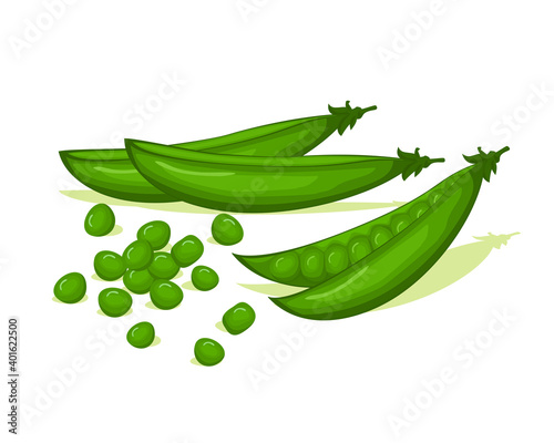 Green pods peas vector design. Vegetables organic food for healthy