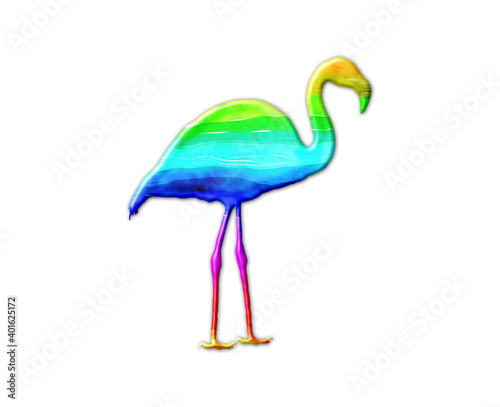 Flamingo bird LGBT Gay Flag Color illustration