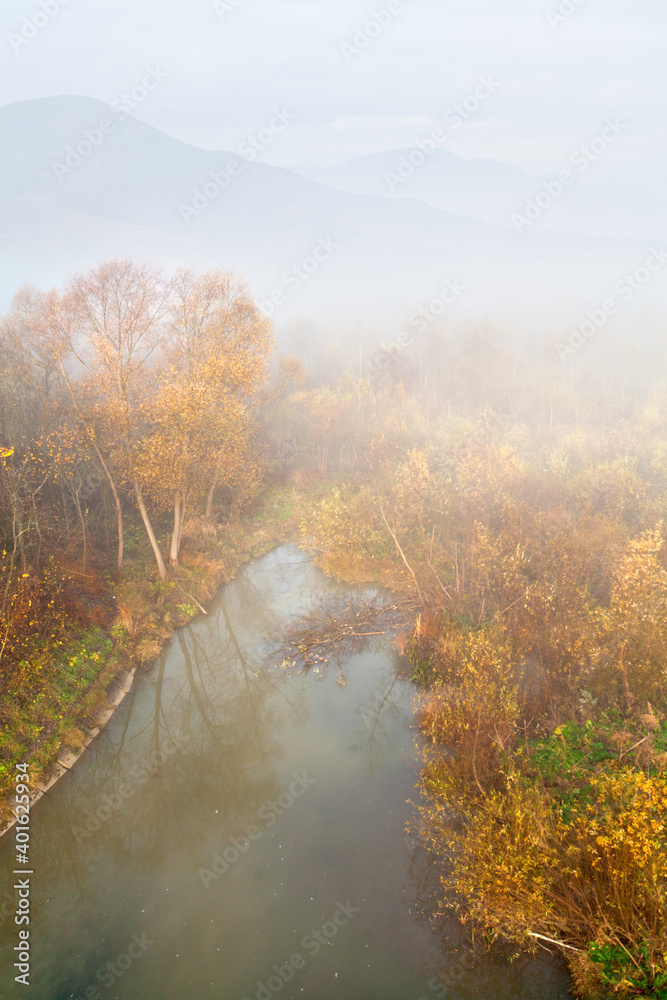 Golden autumn forest near the mountain river, silhouettes of foggy mountains.Ukraine, Carpathians. Golden autumn forest near the mountain river, silhouettes of foggy mountains.Ukraine, Carpathians.