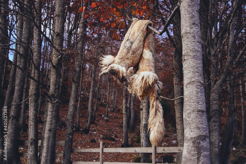 Obraz premium Indian summer hiking in the mountains of Sutjeska national park, Montenegro
