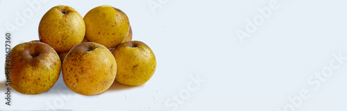 Pommes Reinette d'Armorique en gros plan sur fond blanc et espace texte