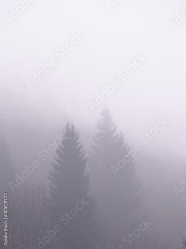 Carpatian mountains at the fog