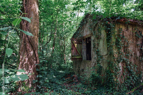 une maison abandonnée dans la forêt © david