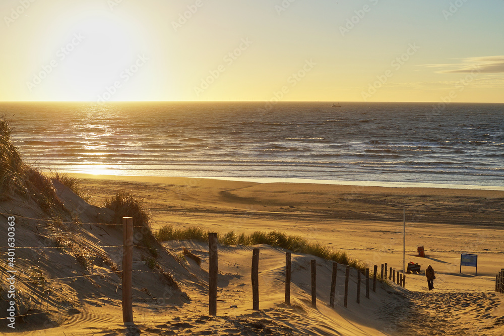 Beautiful Sunset at the beach of Bloemendaal aan Zee with seagulls and the northsea, Holland, Netherlands - obrazy, fototapety, plakaty 