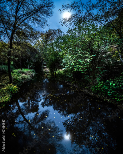 Autumn nightscape with moon in the sky and leaves floating in the water. 