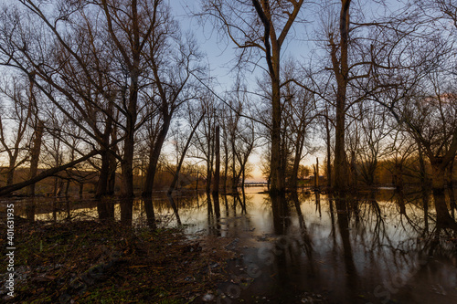 Floods of the river Meuse during winter time in the national park Eijsder Beemden (english: Eijsder Beemden) near Maastricht, which gives wonderful reflections of the trees during sunset.