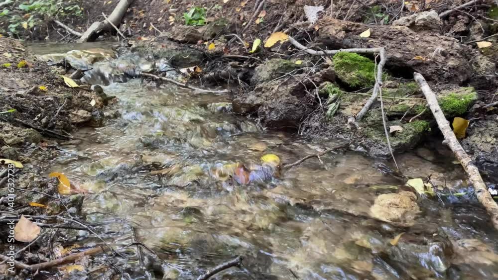 Close-up of a stream in the forest with clean, clear drinking water on a sunny summer day Close-up of a stream in the forest with clean, clear drinking water on a sunny summer day