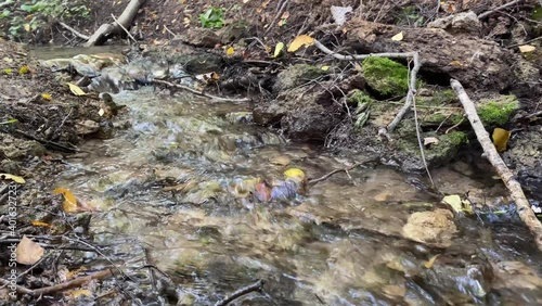 Close-up of a stream in the forest with clean, clear drinking water on a sunny summer day