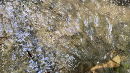 Close-up of a stream in the forest with clean, clear drinking water on a sunny summer day