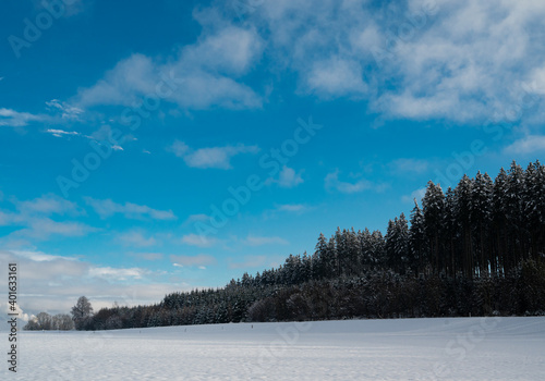 Wald, Schnee © motivjaegerin1