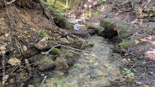 Close-up of a stream in the forest with clean, clear drinking water on a sunny summer day