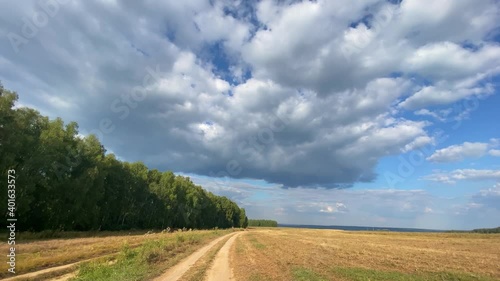 A field of harvested wheat is illuminated by the bright summer sun. White clouds float in the blue sky.