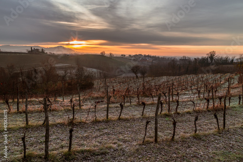 Cold misty morning in the vineyards of Italy