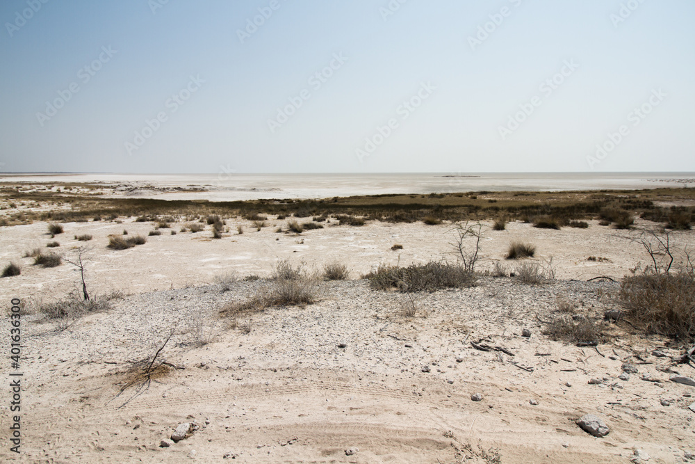 Landscape of etosha saltpan at Etosha National Park, Namibia
