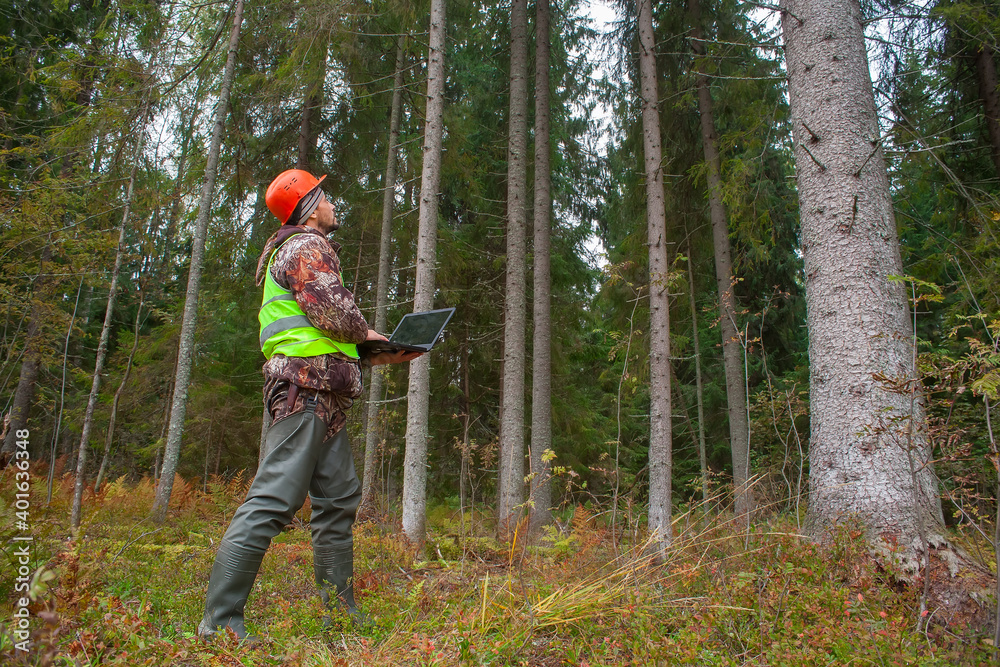 An ecologist with a computer in his hands observes the development of the forest. A forest engineer works in the forest. An ecologist with a computer in his hands observes the development of the forest. A forest engineer works in the forest.