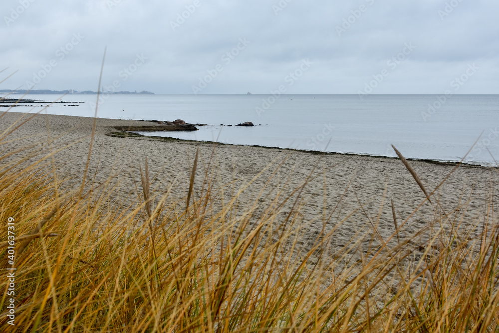 view of plants, sand, sea with a cloudy sky