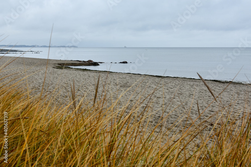 view of plants  sand  sea with a cloudy sky