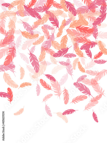 Flying feather elements airy vector design.